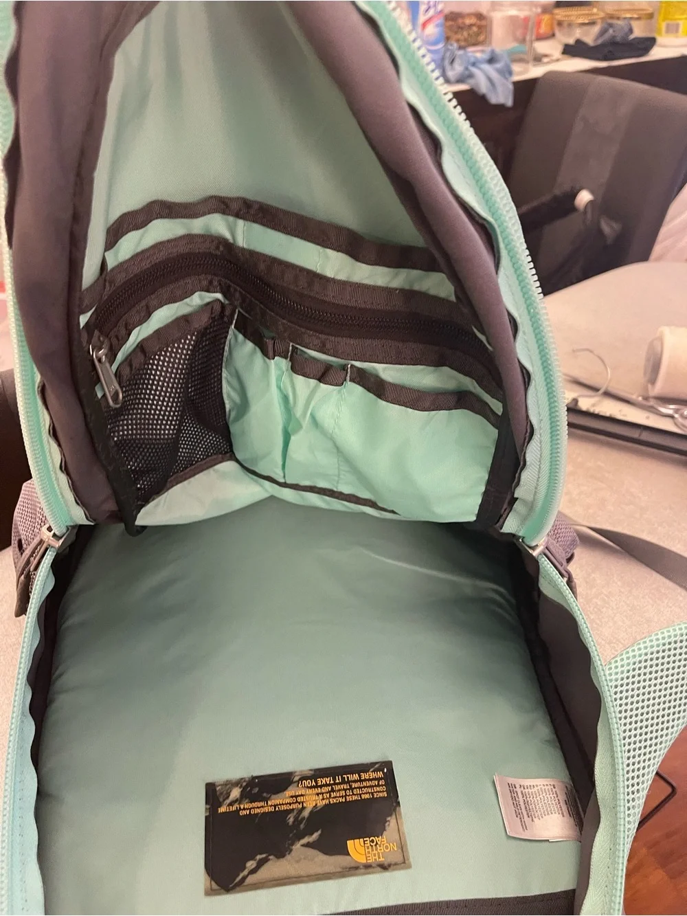 The North Face Mint and Gray Backpack Organizer